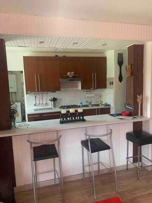 Villa 3 Chambres Parking Et Terrasse Plaisance-du-Touch Экстерьер фото
